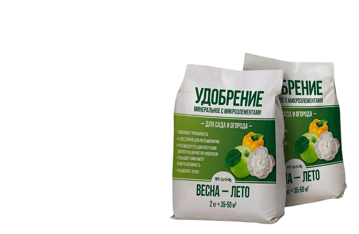 Изображение ВЕСНА-ЛЕТО